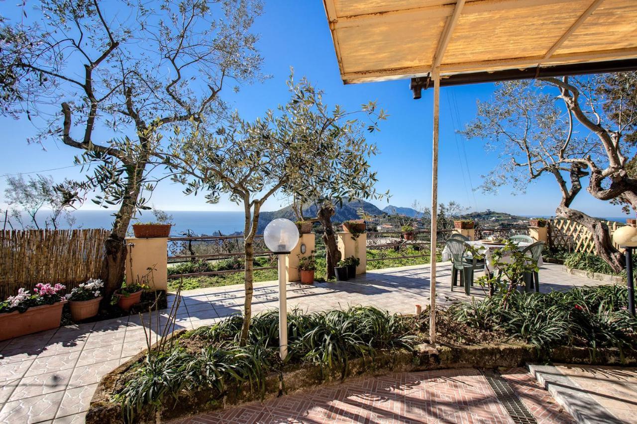 Il Pioppo - Country House Sea View มัสซาลูเบรนเซ ภายนอก รูปภาพ