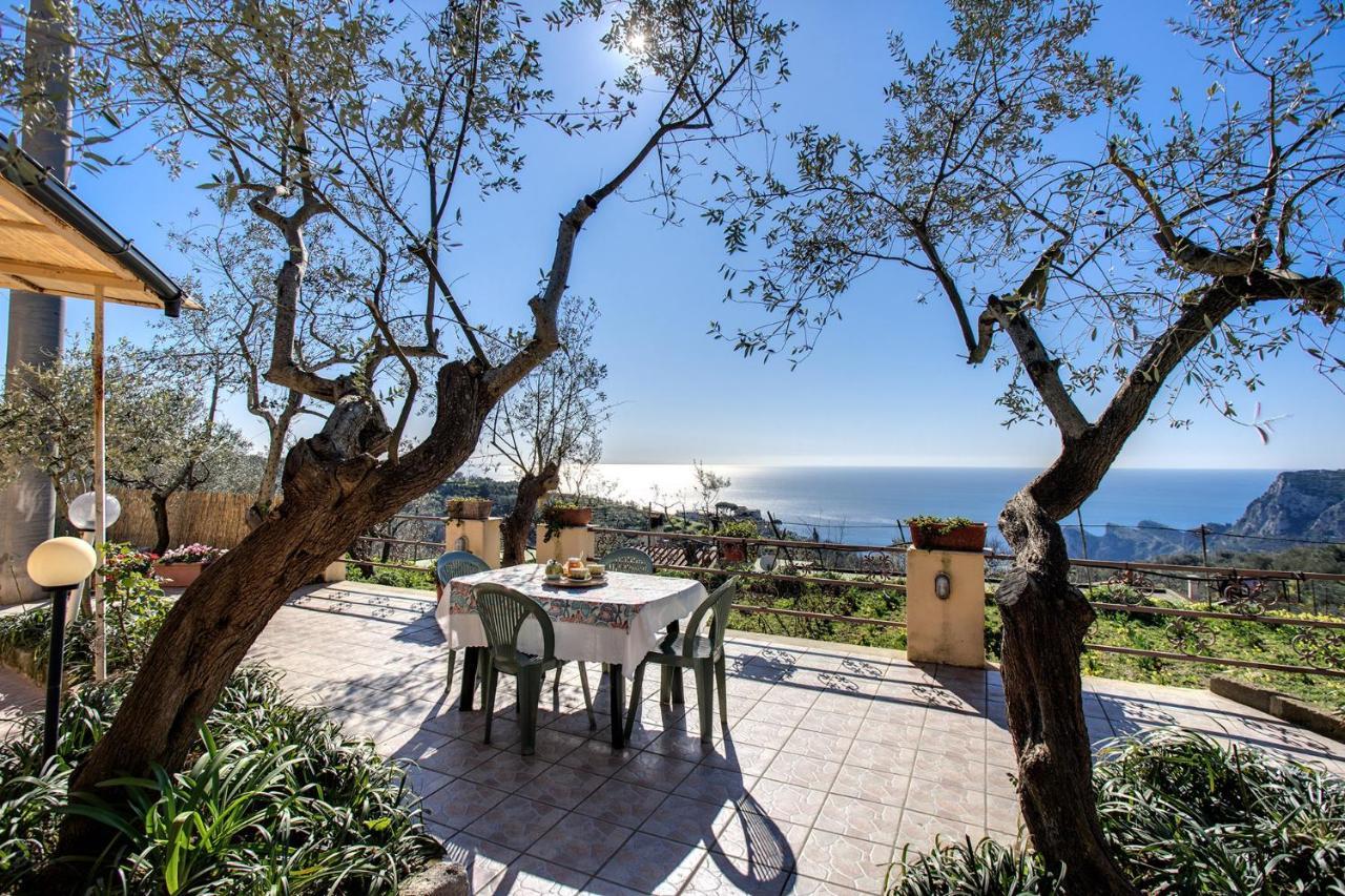 Il Pioppo - Country House Sea View มัสซาลูเบรนเซ ภายนอก รูปภาพ